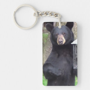 Great Gentle Bear   Keychain