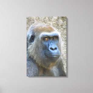 Great Gorilla Wrapped Canvas! Canvas Print