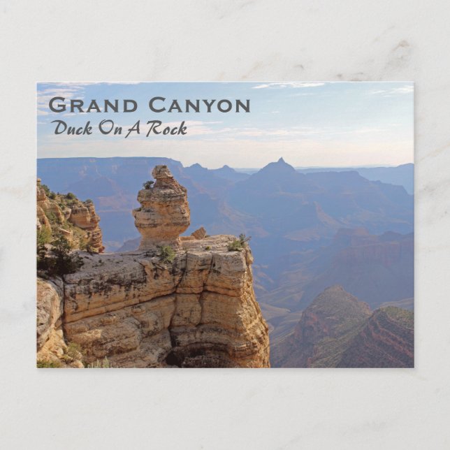 Great Grand Canyon Postcard! Postcard (Front)