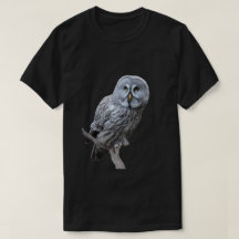 Great Gray Owl