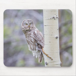 Great Grey Aspen Tree Branch Mouse Pad