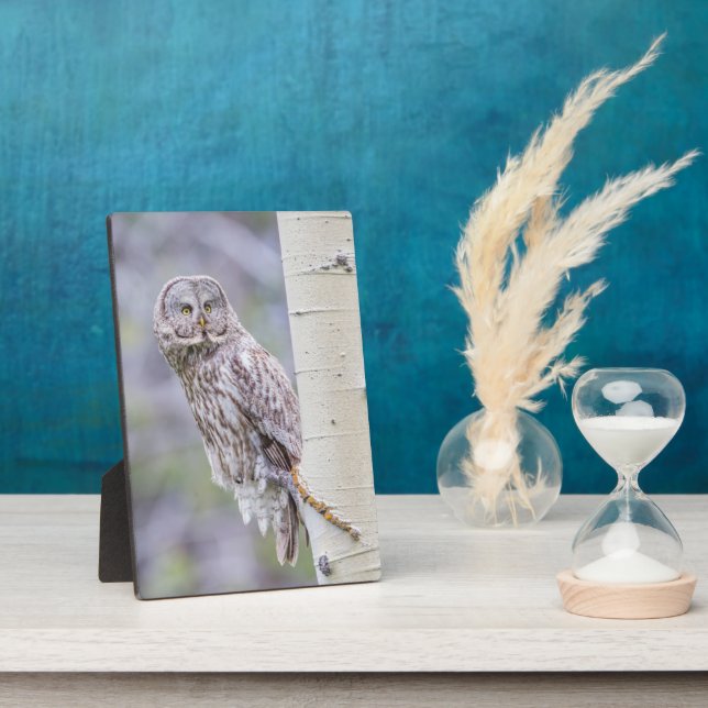 Great Grey Aspen Tree Branch Plaque (Side)