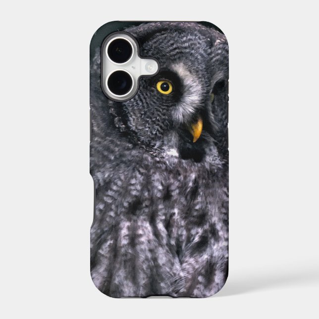 Great Grey Owl (Verso)