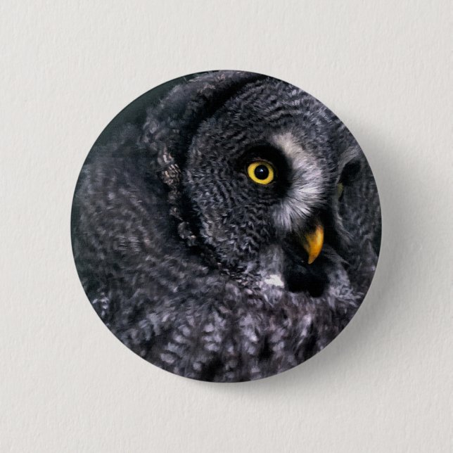 Great Grey Owl 2 Inch Round Button (Front)