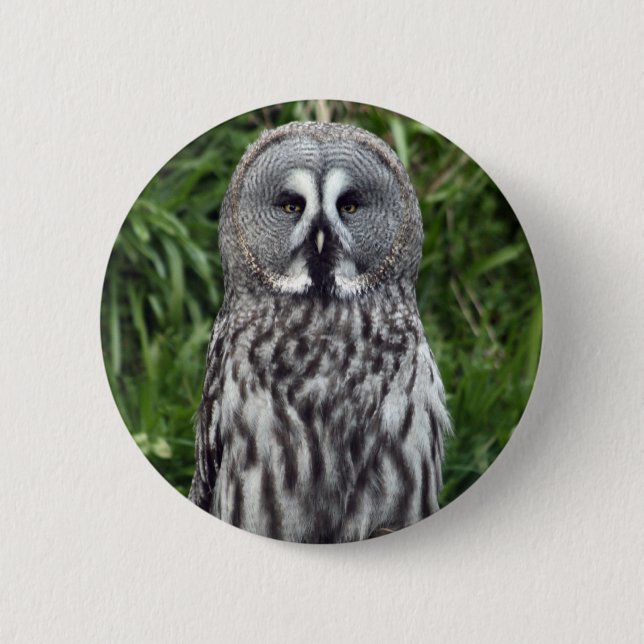 Great Grey Owl 2 Inch Round Button (Front)