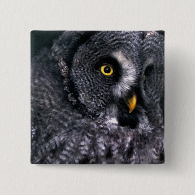Great Grey Owl 2 Inch Square Button (Front)