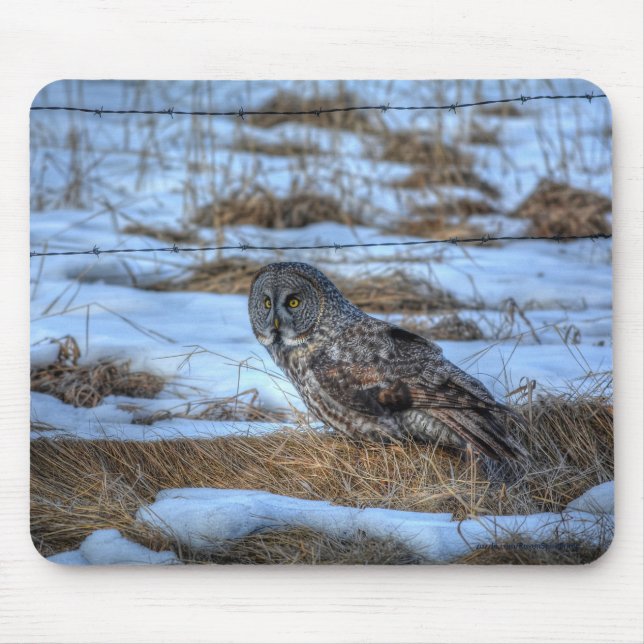 Great Grey Owl and Snow Wildlife Raptor Photo Mouse Pad (Front)