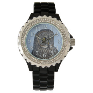 Great Grey Owl and Snow Wildlife Raptor Photo Watch