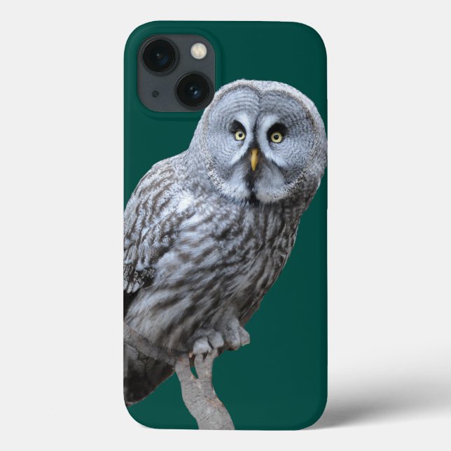 Great Grey Owl Case-Mate iPhone Case (Back)
