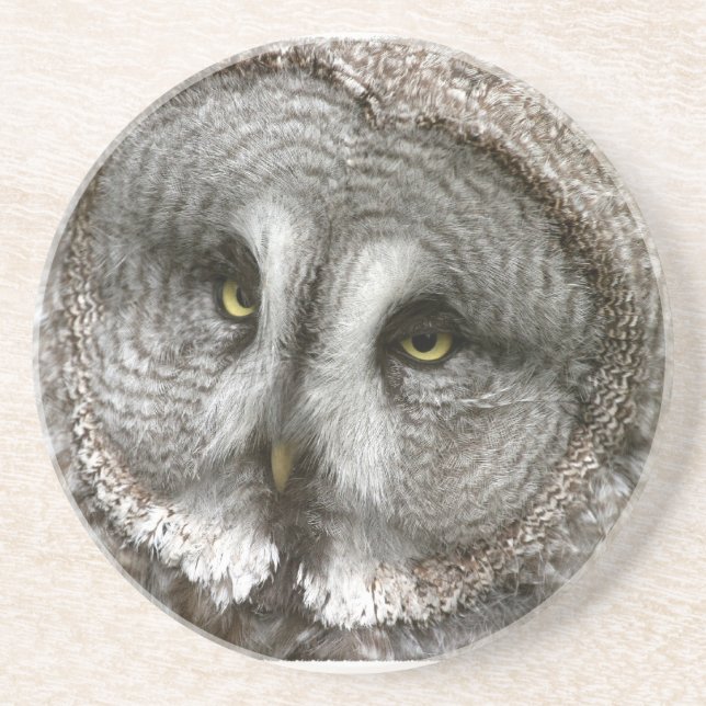 Great Grey Owl Coaster (Front)