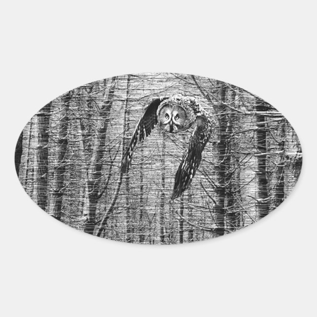 Great Grey Owl in black and white stickers (Front)