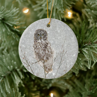 Great Grey Owl in Winter Ceramic Ornament