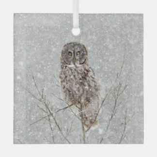 Great Grey Owl in Winter Glass Ornament
