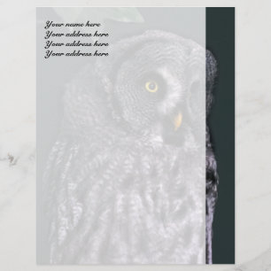 Great Grey Owl Letterhead Template