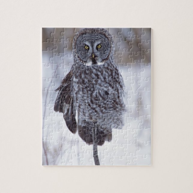 Great Grey Owl near Pine City MN, Jigsaw Puzzle (Vertical)