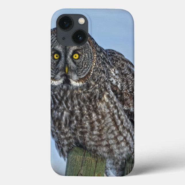 Great Grey Owl On a Fence Wildlife Photo Portrait Case-Mate iPhone Case (Back)