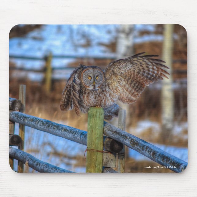 Great Grey Owl on Fence Wildlife Raptor Photo Mouse Pad (Front)