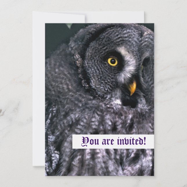 Great Grey Owl Personalized Invitations (Front)