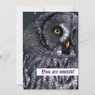 Great Grey Owl Personalized Invitations