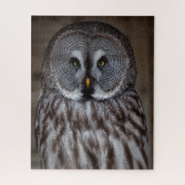Great Grey Owl Standing Alone Jigsaw Puzzle (Vertical)