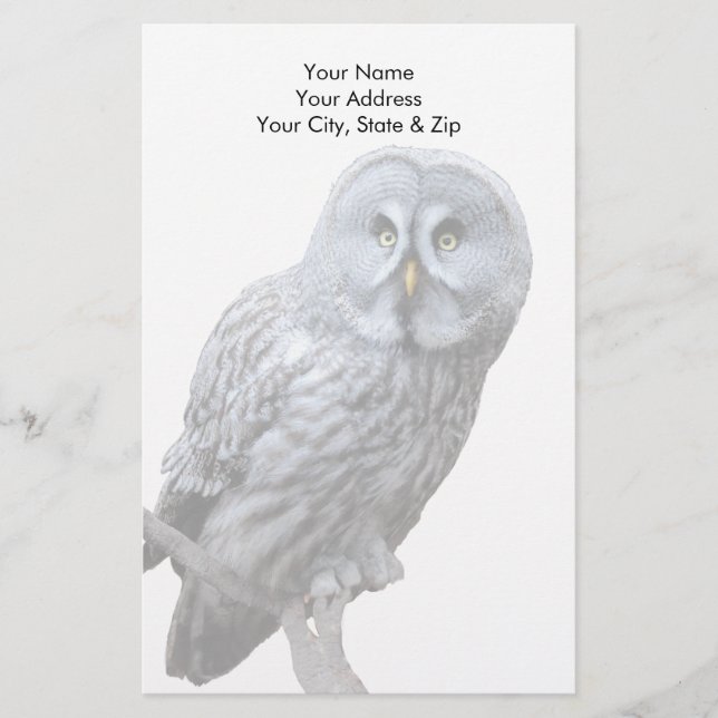 Great Grey Owl Stationery (Front)