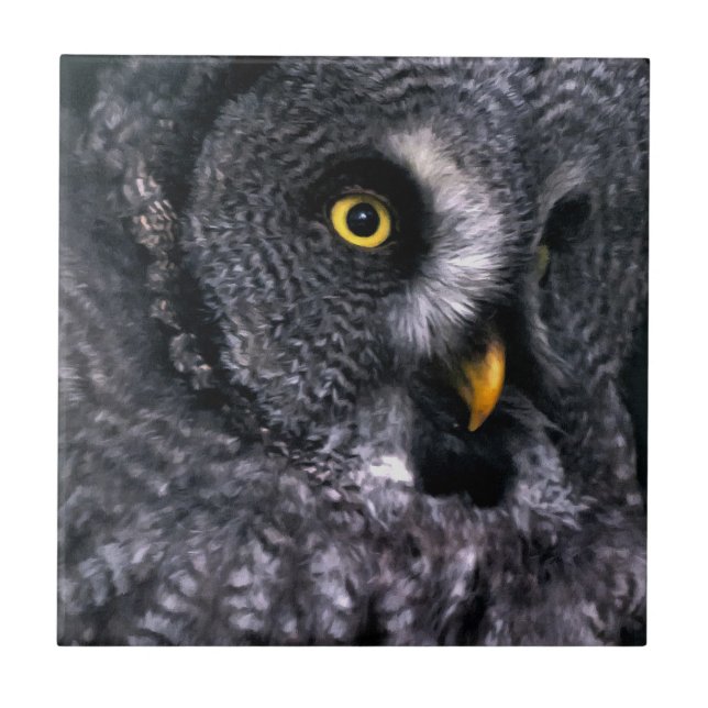 Great Grey Owl Tile (Front)