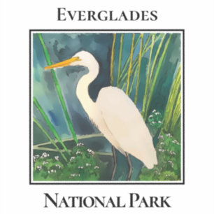 Great Heron, Everglades National Park