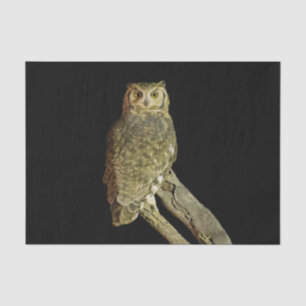 Great Horned Owl at Night Tissue Paper