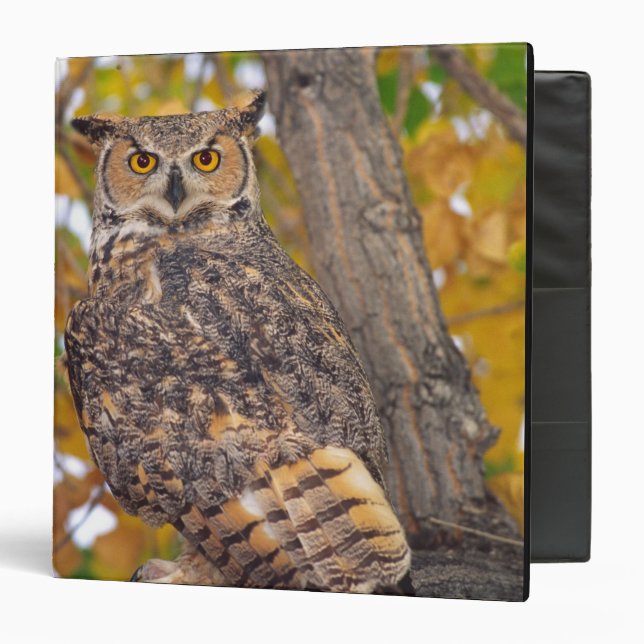 Great Horned Owl Binder (Front/Inside)