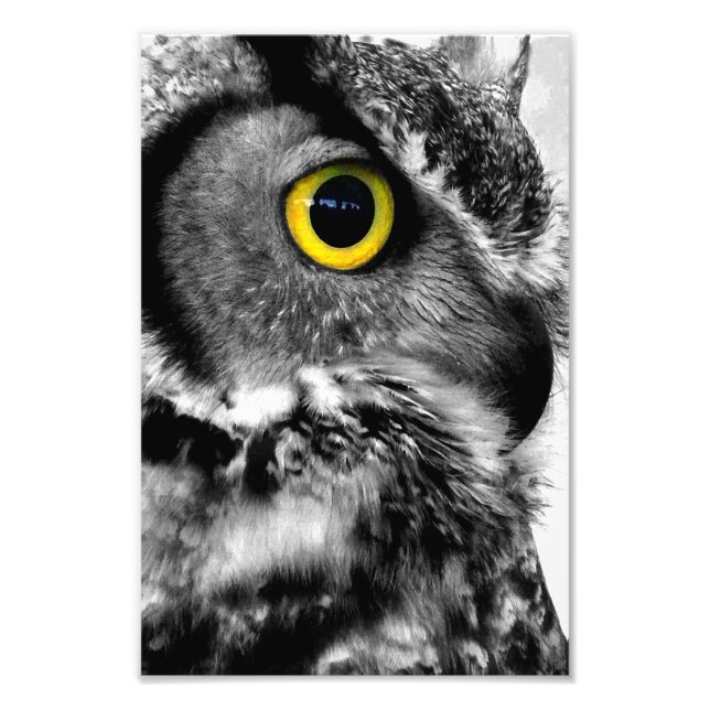 Great Horned Owl Bird Of Prey Photo Print (Front)