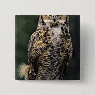 Great Horned Owl (Bubo virginianus), full body 2 Inch Square Button