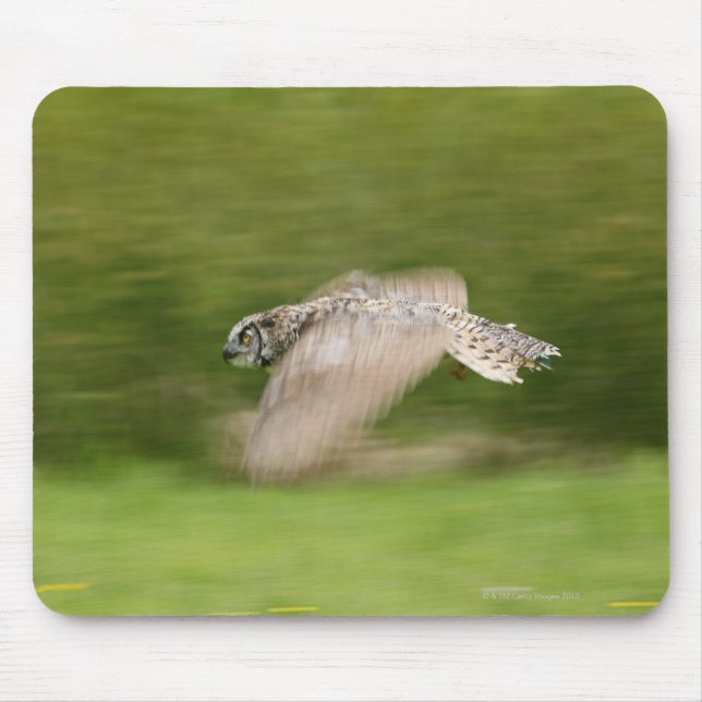 Great Horned Owl (Bubo virginianus) Mouse Pad (Front)