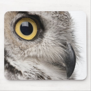 Great Horned Owl - Bubo Virginianus Subarcticus Mouse Pad