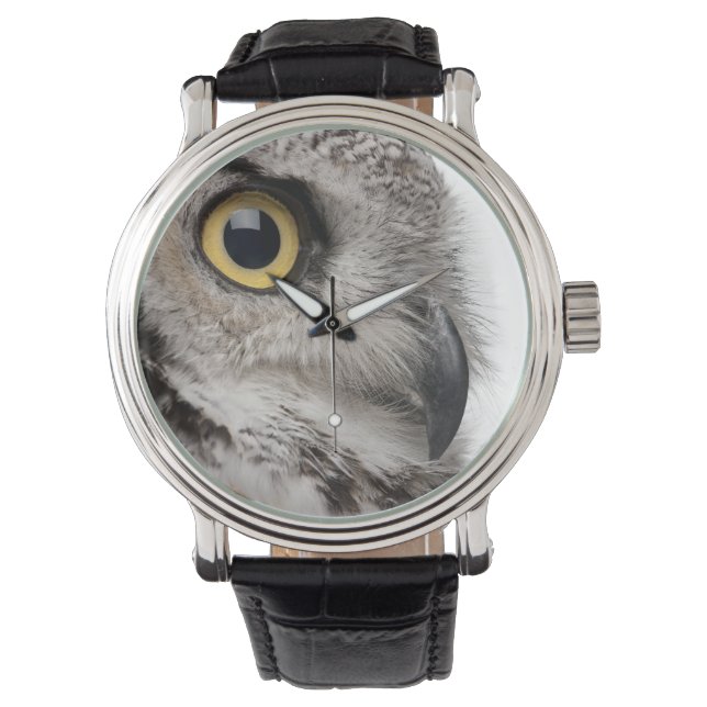Great Horned Owl - Bubo Virginianus Subarcticus Watch (Front)