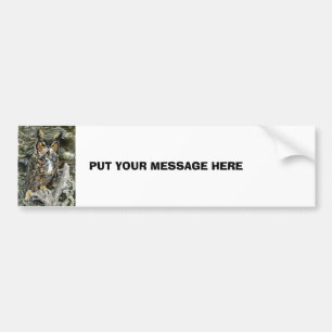 Great Horned Owl Bumper Sticker