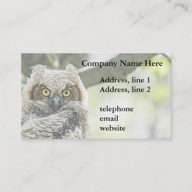 Great Horned Owl Business Card (Front)