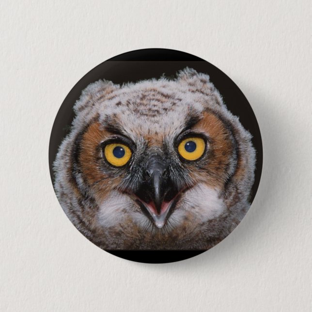 Great Horned Owl Button (Front)