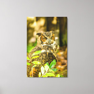 Great Horned Owl Canvas Print