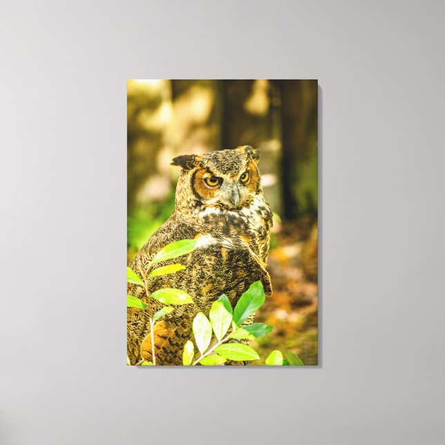 Great Horned Owl Canvas Print (Front)