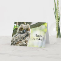 Great Horned Owl