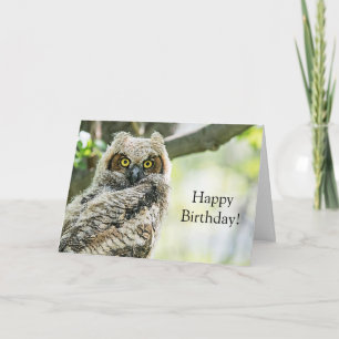 Great Horned Owl Card