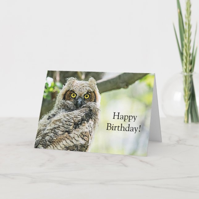 Great Horned Owl Card (Front)