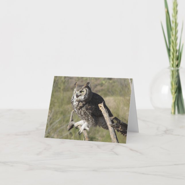 Great Horned Owl Card (Front)