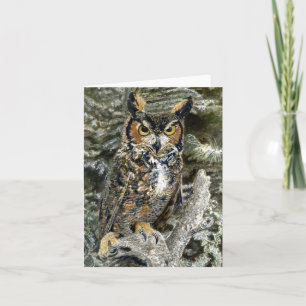 Great Horned Owl Card