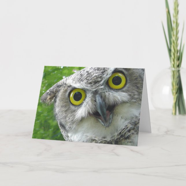 Great-Horned Owl Card (Front)