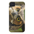 Great Horned Owl Case