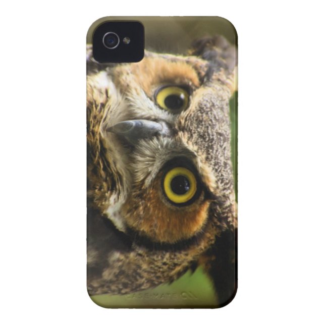 Great Horned Owl Case (Back)
