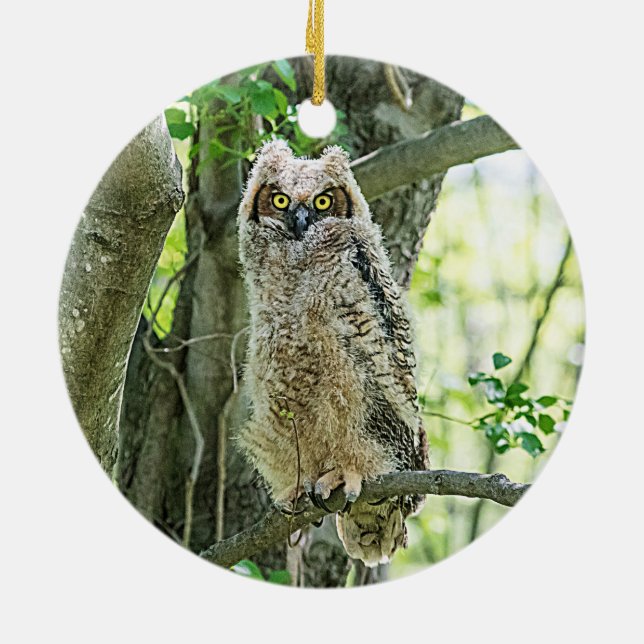 Great Horned Owl Ceramic Ornament (Back)