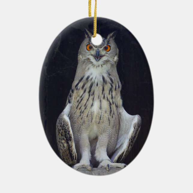 Great Horned Owl Ceramic Ornament (Back)
