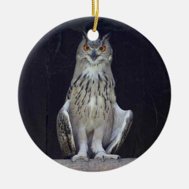 Great Horned Owl Ceramic Ornament (Front)